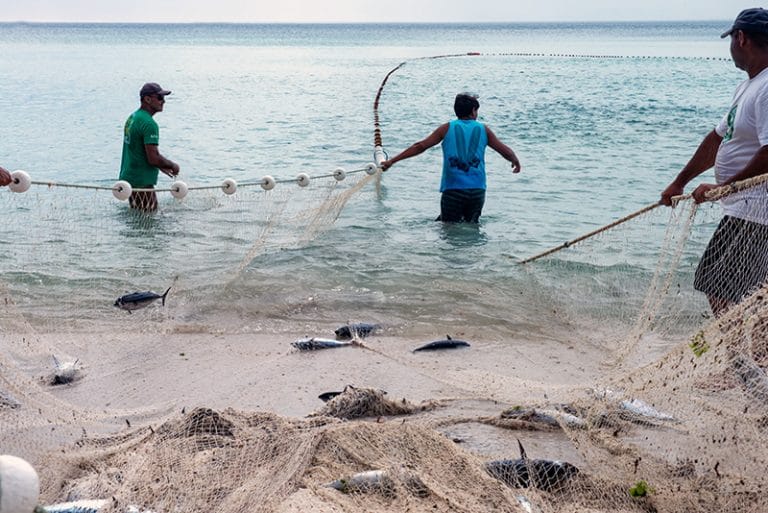 rede caiçara para tainhas