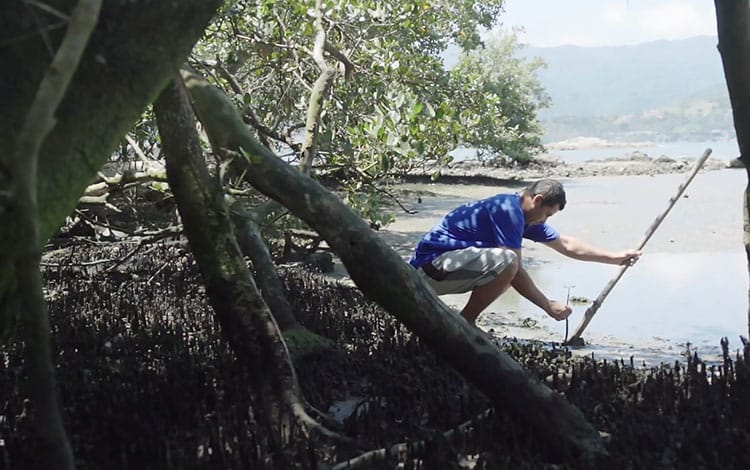Humberto Messias caiçara s sebastião .