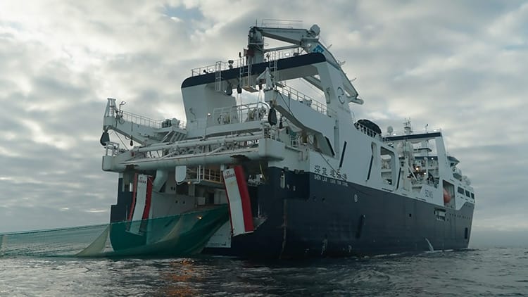 arrastão de krill na antártica