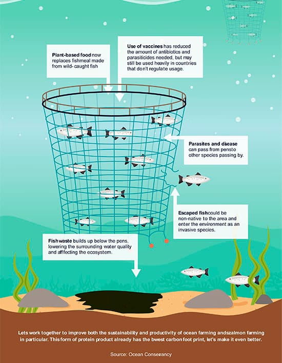 gráfico fazendas de salmão