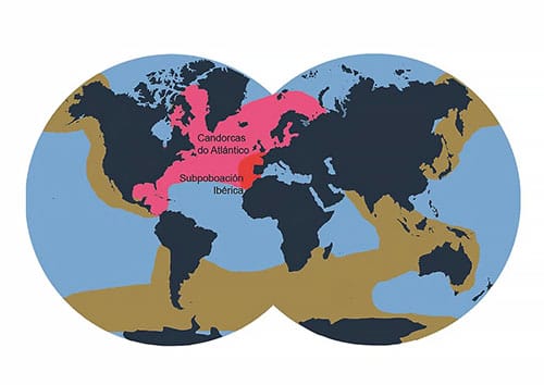 mapa das orcas ibéricas
