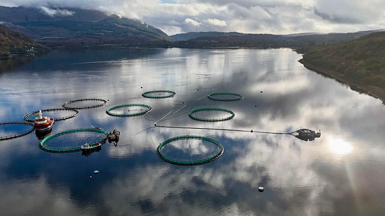 tanques de criação de salmão
