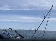 Orcas da Península Ibérica afundam veleiros por brincadeira