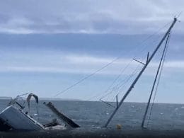 Orcas da Península Ibérica afundam veleiros por brincadeira