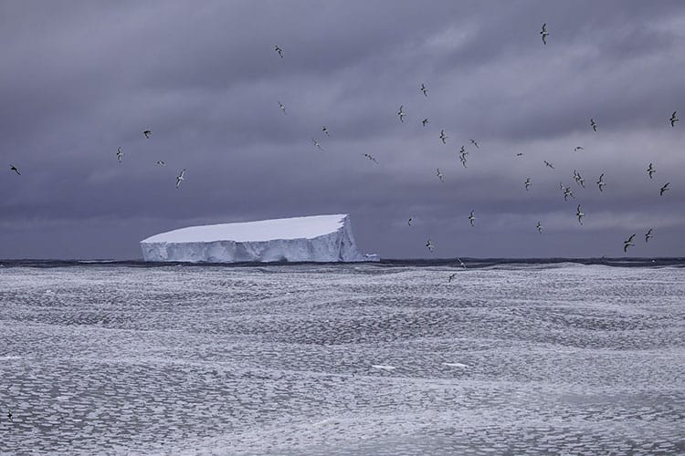 Iceberg na Antártica