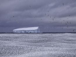 Aquecimento global promove ‘mudanças abruptas na Antártica’