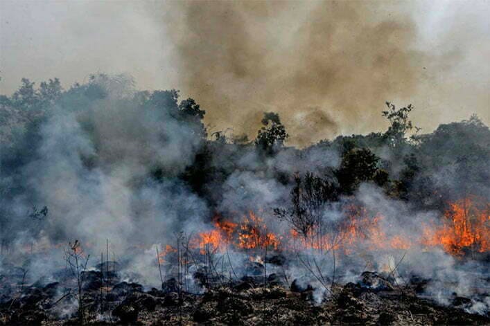 A-devastacao-na-Amazonia.