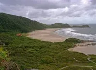 STJ decide: restingas que fixam dunas e mangues são APPs