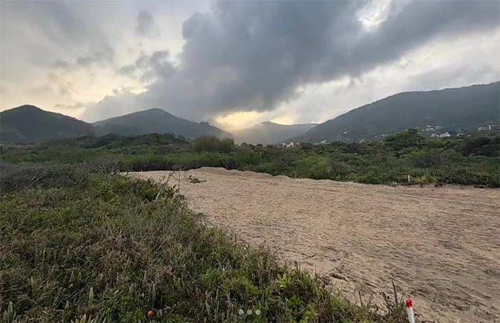 Área de restinga decepada em Garopaba 