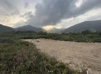 Garopaba destrói vegetação de restinga na cara dura