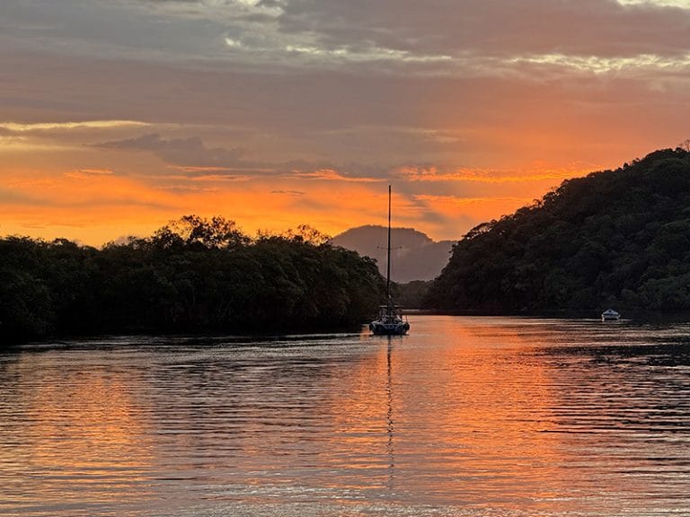 Ariri no fim de tarde 