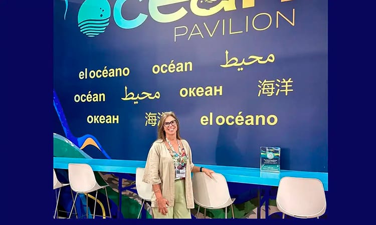 Apesar da COP30 agenda ambiental marinha segue parada