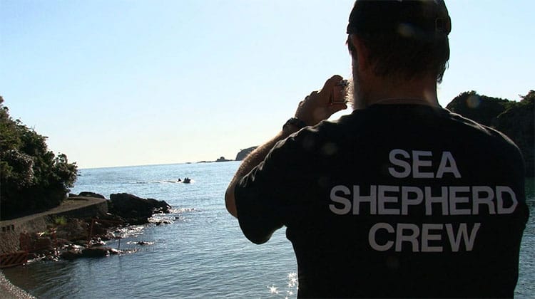 Ativista da Sea Shepherd na Baía de Taiji