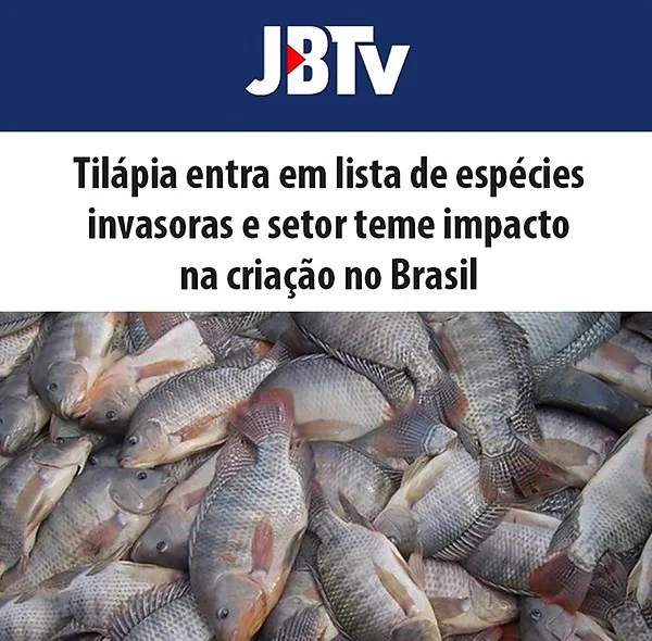Tilápia na lista de invasoras