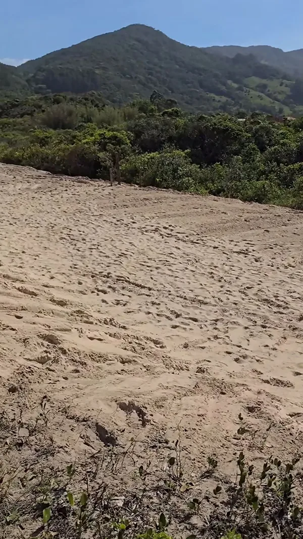 A área de restinga aterrada em Garopaba 
