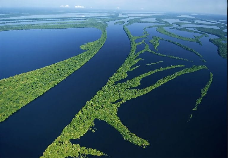 arquipélago Anavilhanas, Amazônia .