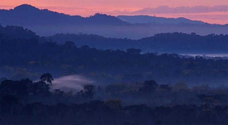 paisagem da Amazônia