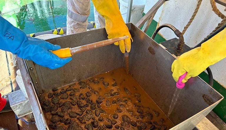 amostras coletadas a zona de testes de mineração submarina