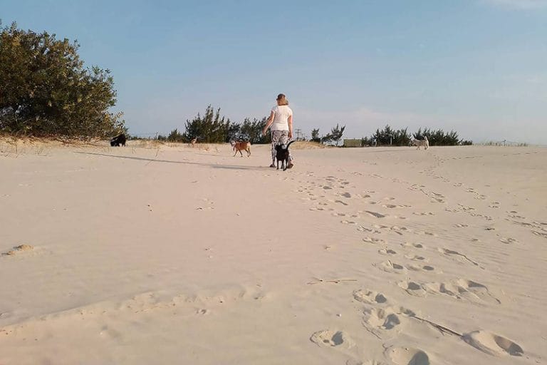 ocupação de dunas em Cidreiras, RS