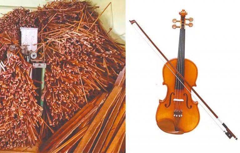 pau-brasil e os instrumentos musicais