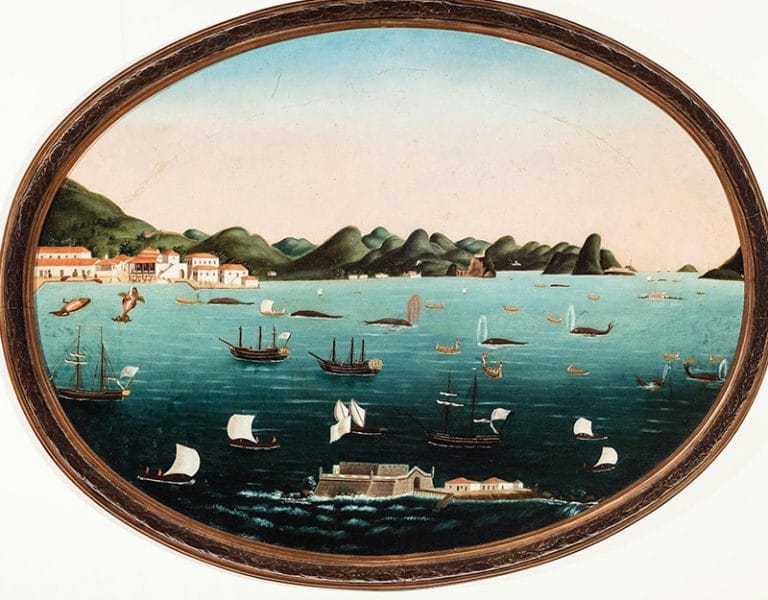 Caça às baleias na B de Guanabara .