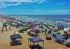 Praias de SC tornam-se paraíso das engordas e da diarreia