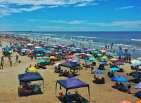 Praias de SC tornam-se paraíso das engordas e da diarreia