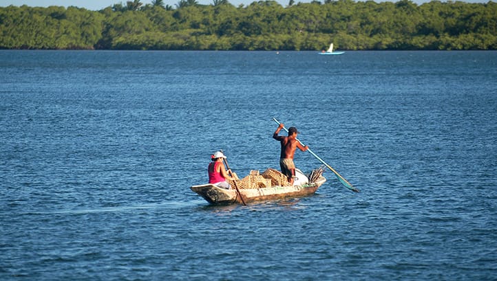 Canoa baiana em camamu