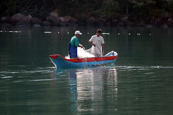Canoa caiçara, Mamanguá