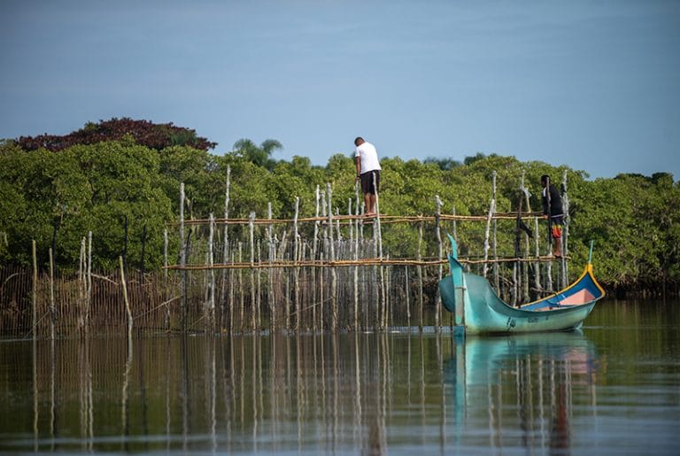 Canoa de bordadura no cerco, Lagamar.
