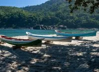 Canoas de pau, um tesouro secular do Brasil