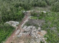 Grilagem avança no entorno da APA Baleia-Sahy