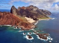 Sem cabras, a vegetação da Ilha da Trindade volta a florescer