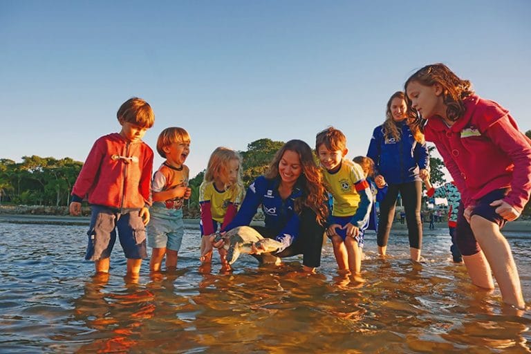 pesquisadora Camila Domit