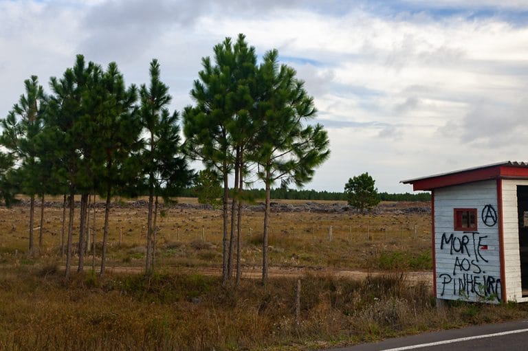 arrasto em área de arrebentação, RS 