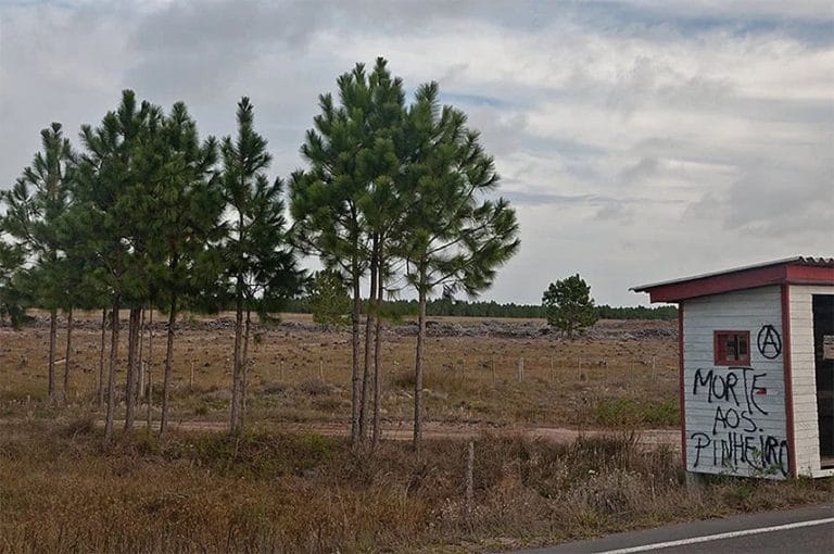 Placa Morte aos pinheiros