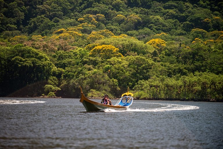 canoa de bordadura e guaricias floridos 