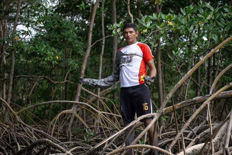 cataçao de caranguejo no Pará 
