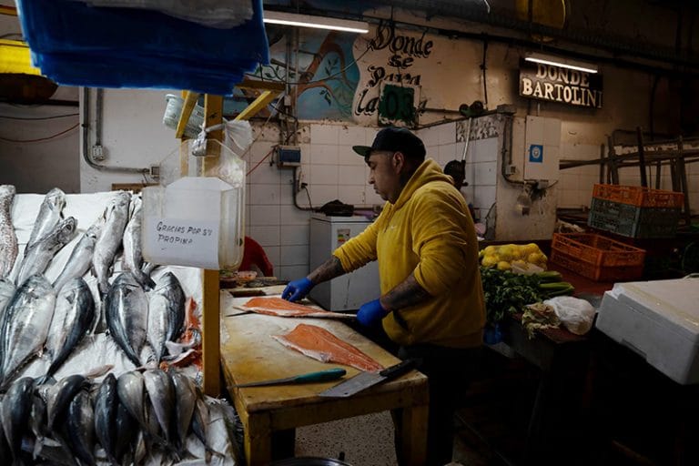 filetando salmão das criações do Chile