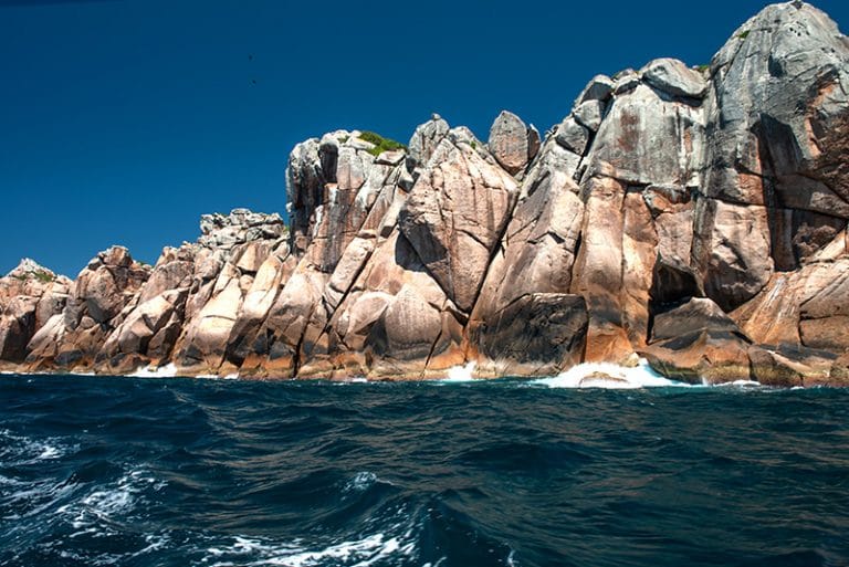 Costão rochoso do arquipélago do Arvoredo, SC