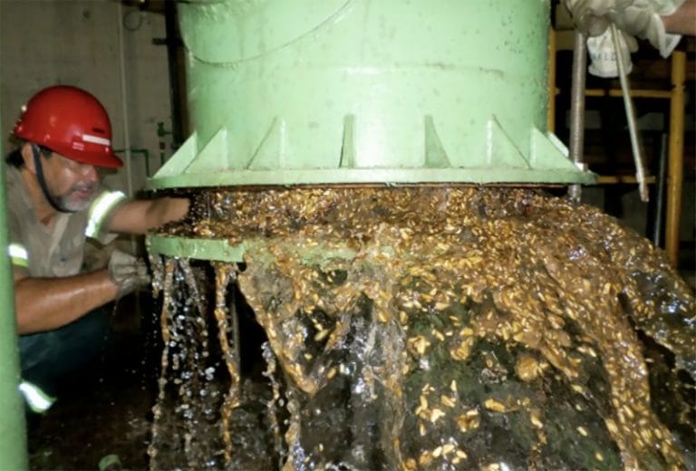 mexilhao dourado em turbina de Itaipu .