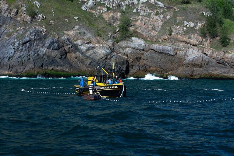 pescadores em Arraia do Cabo 