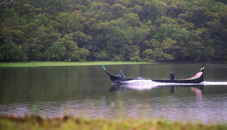 Canoa de bordadura