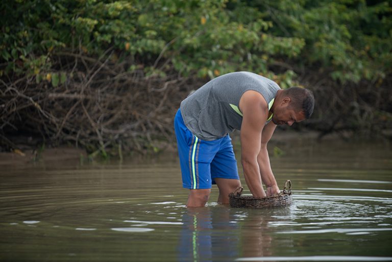 Trabalhar no estuário rotina caiçara.