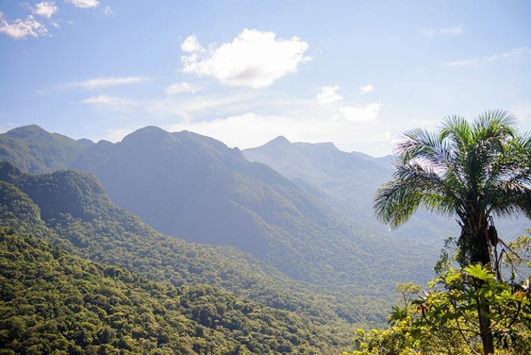 Serra do Mar,  PR  