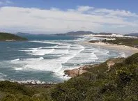 PL 849 ameaça APA da Baleia Franca em Santa Catarina