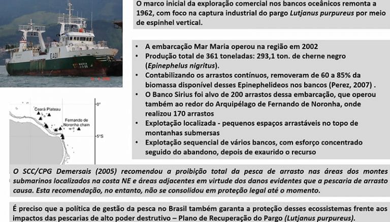 Pesca de arrasto na área dos Montes submarinos 