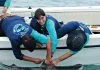 Tubarões-tigre na Baía da Ilha Grande intrigam cientistas