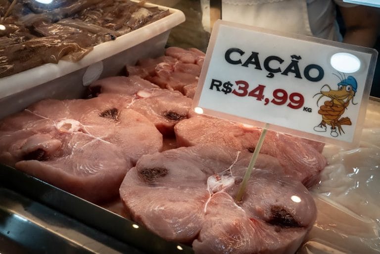 Cação em supermercado
