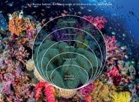 Oceano desconhecido: metade ainda escapa à ciência